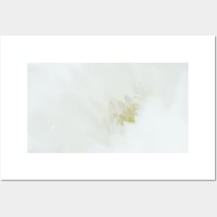 Chrysanthemum Photo | Flower Macro Photography | Atmospheric Chrysanthemum Close-up Posters and Art